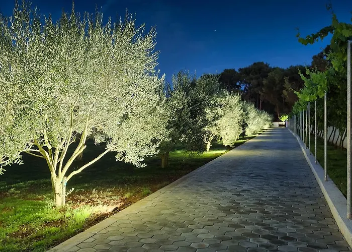 Milemanda * 반졸레